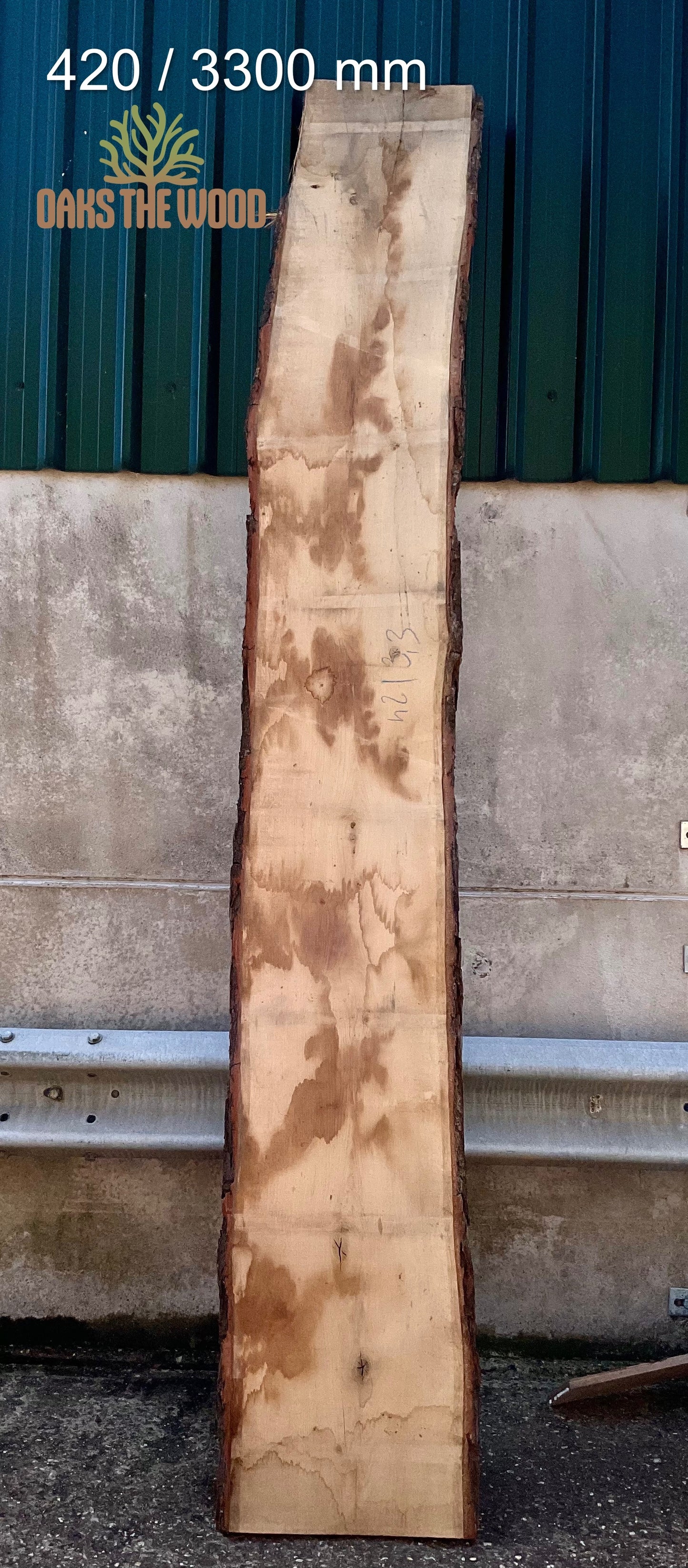 Oak wood, 420/3300 mm