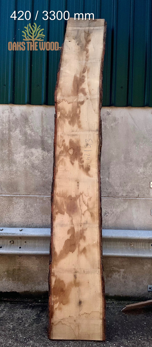 Oak wood, 420/3300 mm